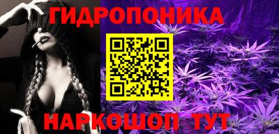 индика Нальчик
